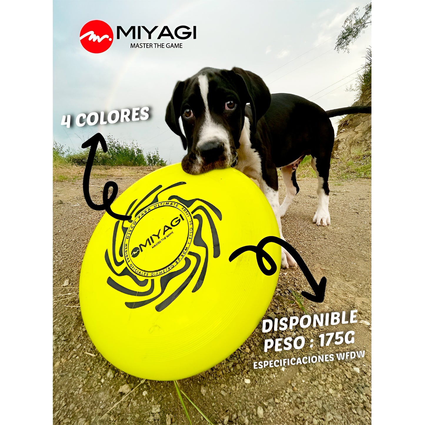 Frisbee Disco Miyagi Ultimate 175g