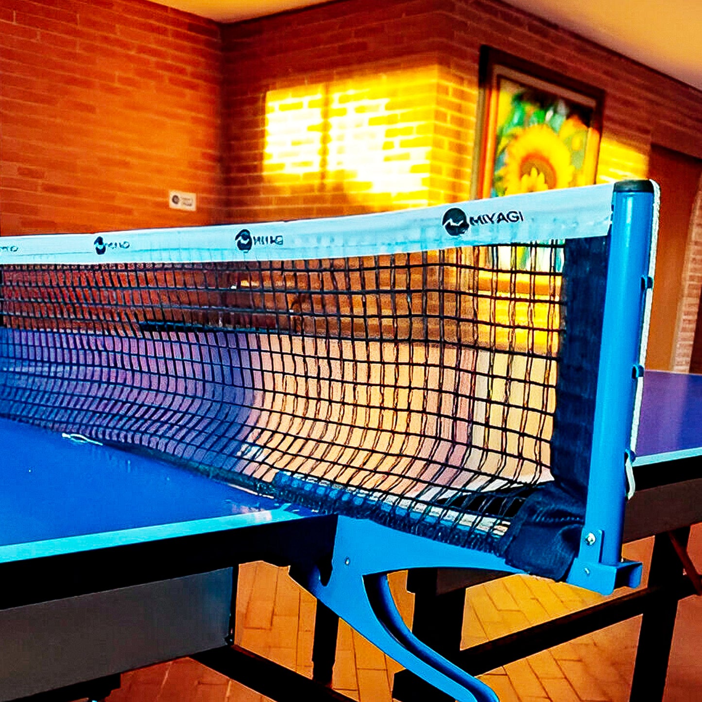 Paral y Malla Tenis de Mesa Semi Profesional Miyagi Mttp3